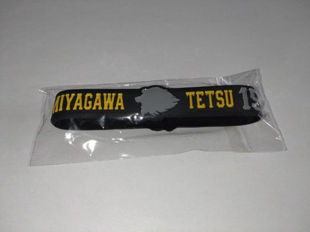 ʐCIY2023 V[NbgVRoh 15 {N  W[/X|[c 