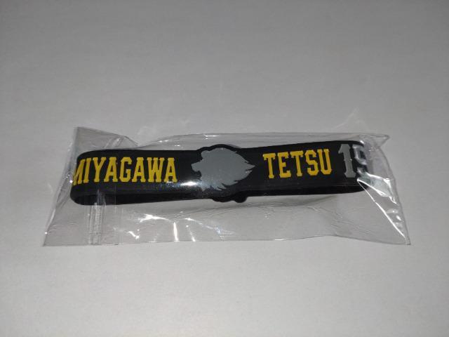 ʐCIY2023 V[NbgVRoh 15 {N  W[/X|[c 