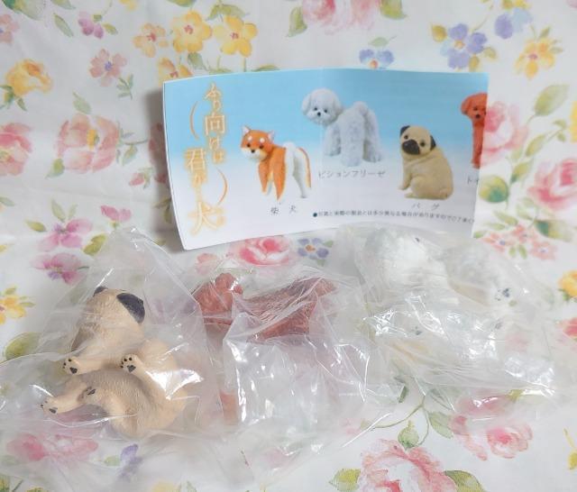 【定形外送料無料】ガチャガチャ○『ふり向けば君が…犬』3種類セット < ホビー  【定形外送料無料】ガチャガチャ○『ふり向けば君が…犬』3種類セット  < ホビーの