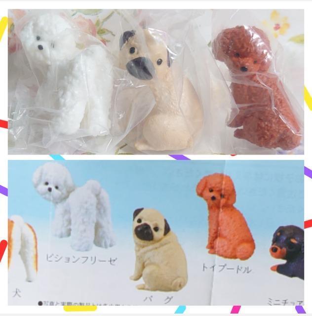 【定形外送料無料】ガチャガチャ○『ふり向けば君が…犬』3種類セット < ホビー  【定形外送料無料】ガチャガチャ○『ふり向けば君が…犬』3種類セット < ホビーの