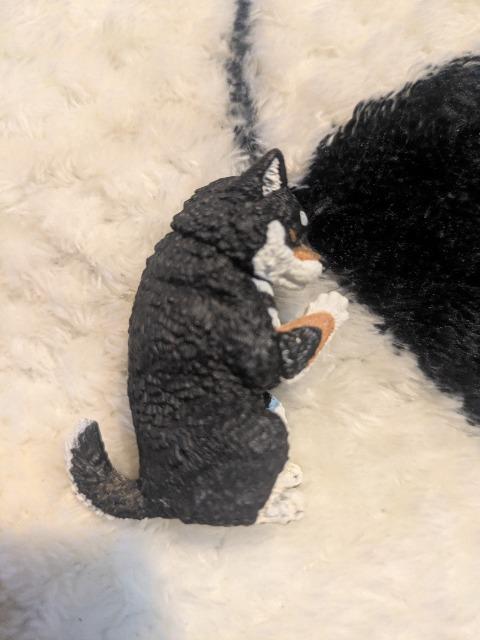 合掌 犬拝 柴犬 ガチャガチャ < ホビー 合掌 犬拝 柴犬 ガチャガチャ < ホビーの