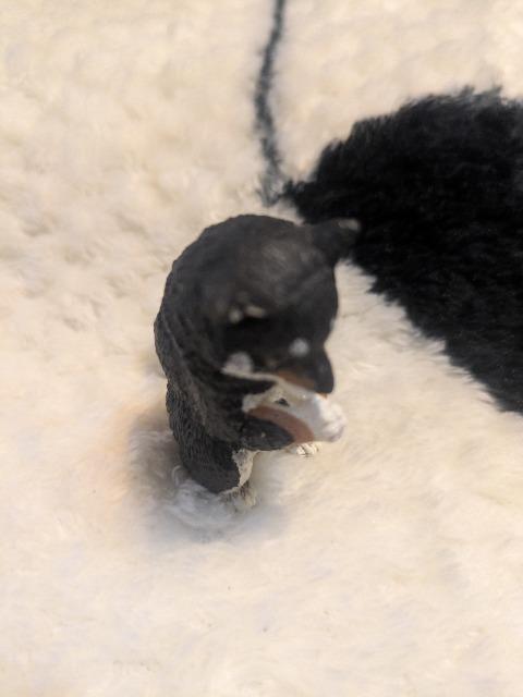 合掌 犬拝 柴犬 ガチャガチャ < ホビー 合掌 犬拝 柴犬 ガチャガチャ < ホビーの