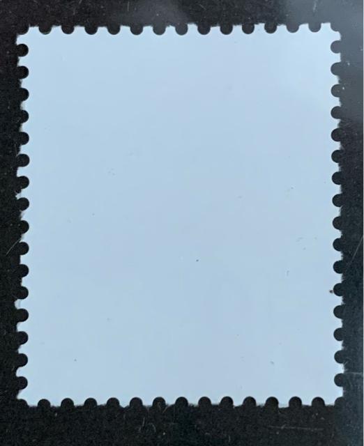 �y���������z���ʐ؎� 40�~ 1�� �V���{�̎��R�F���� �� �z�r�[�� 