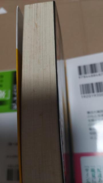 ���h�A�̌������� ��K���t�l �� �{/�G���� 