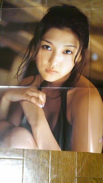 送料込み・石川梨華・リバーシブル・ポスター < タレントグッズ  送料込み・石川梨華・リバーシブル・ポスター  < タレントグッズの