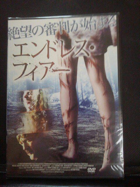 �G���h���X�E�t�B�A�[  �� CD/DVD/�r�f�I�� 