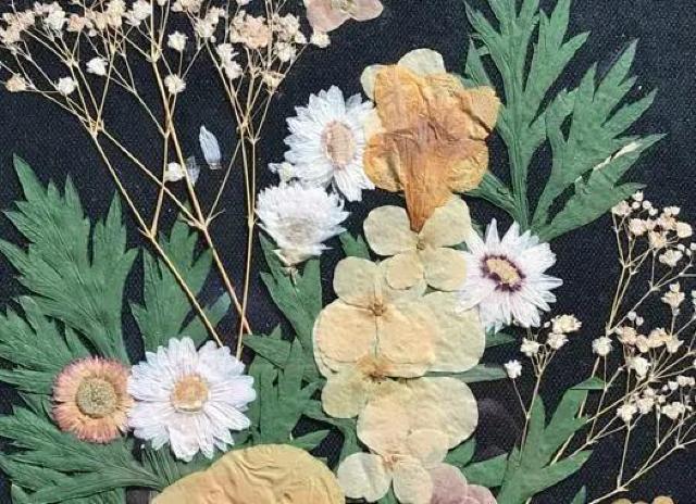 〇 押し花の額 < インテリア/ライフ  〇 押し花の額 < インテリア/ライフの
