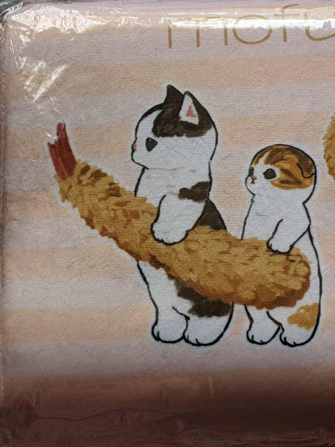 tTh ᔽ܂灕܂(|[`A}Olbg) B_Zbg tɂ