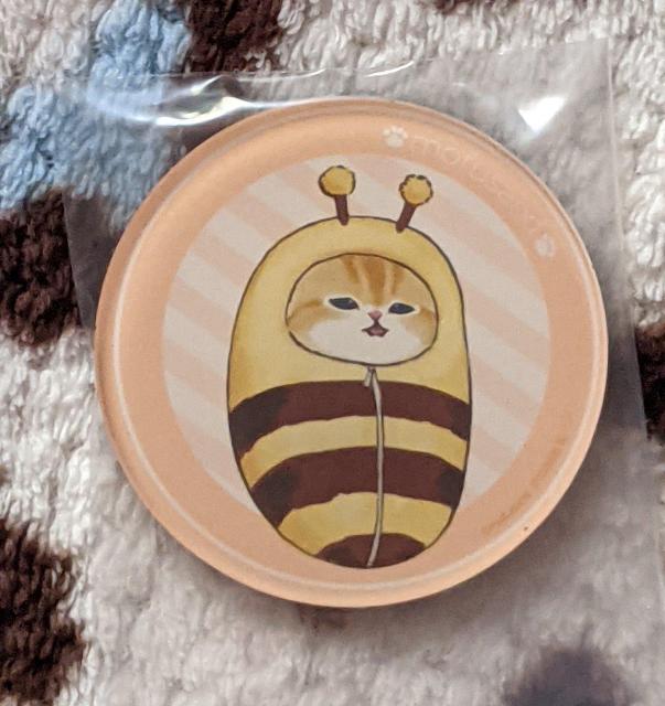 tTh ᔽ܂灕܂(|[`A}Olbg) B_Zbg tɂ