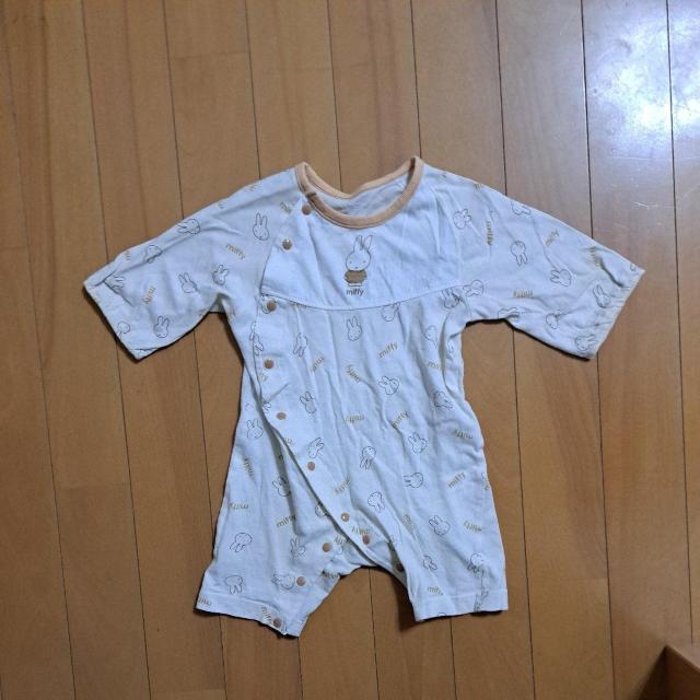 ~btB[̔Vc60cm`70cm   LbY/xr[ 