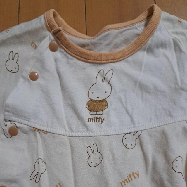 ~btB[̔Vc60cm`70cm  LbY/xr[ 