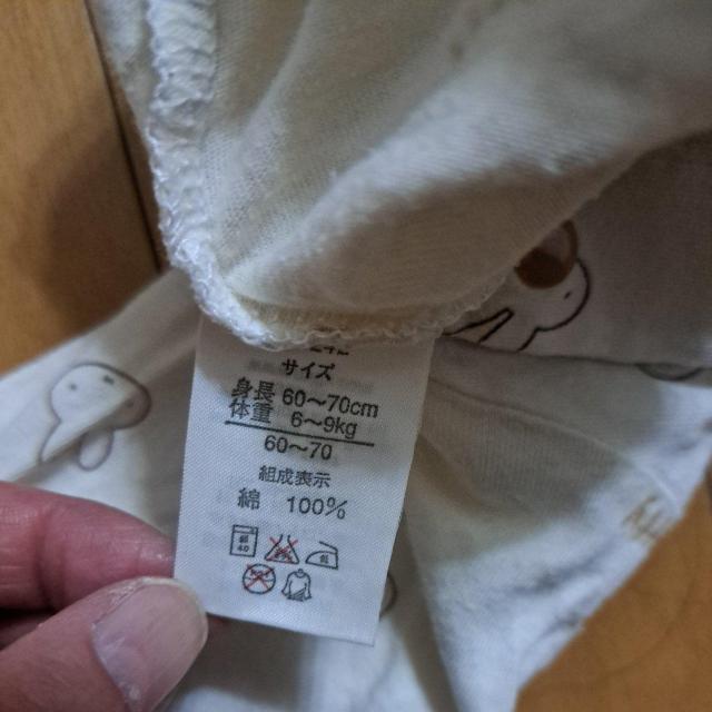 ~btB[̔Vc60cm`70cm  LbY/xr[ 