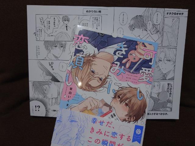 BL[tbgty݂ɗςz䝔 