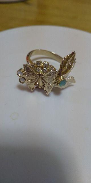 �w��19��  �� �����A�N�Z�T���[/���v�� 