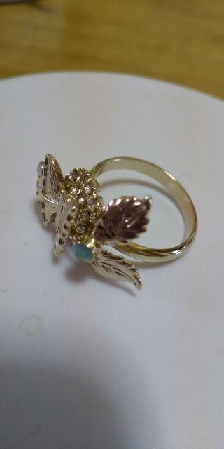 �w��19�� �� �����A�N�Z�T���[/���v�� 