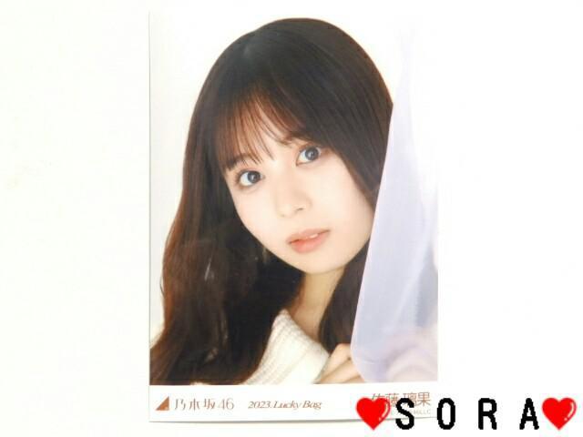 【乃木坂46/佐藤璃果】2023年 Lucky Bag ラッキーバッグ福袋♪生写真 < タレントグッズ  【乃木坂46/佐藤璃果】2023年 Lucky Bag ラッキーバッグ福袋♪生写真  < タレントグッズの
