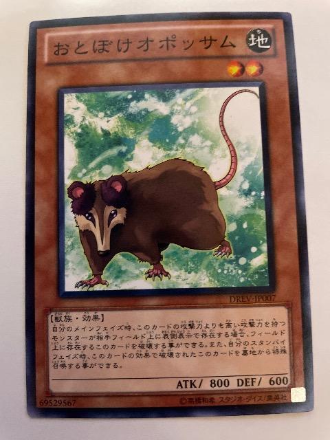 遊戯王【地・おとぼけオポッサム】 < トレーディングカード  遊戯王【地・おとぼけオポッサム】  < トレーディングカードの