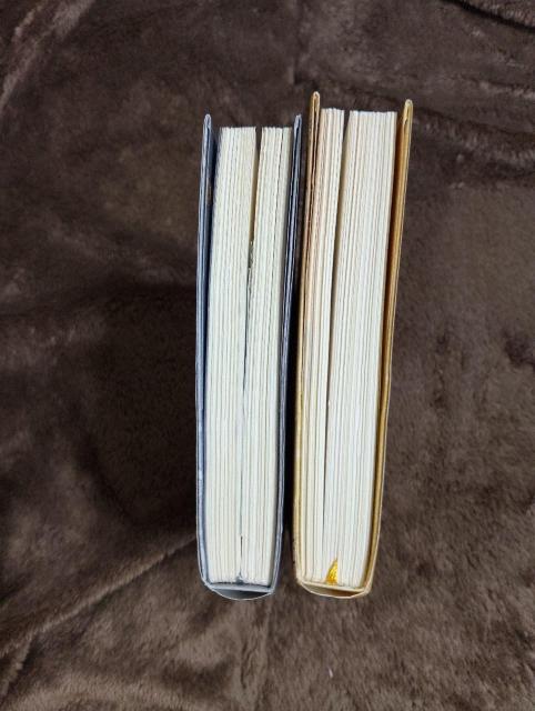 畠中恵☆てんげんつう…いちねんかん☆2冊セット < 本/雑誌 畠中恵☆てんげんつう…いちねんかん☆2冊セット < 本/雑誌の