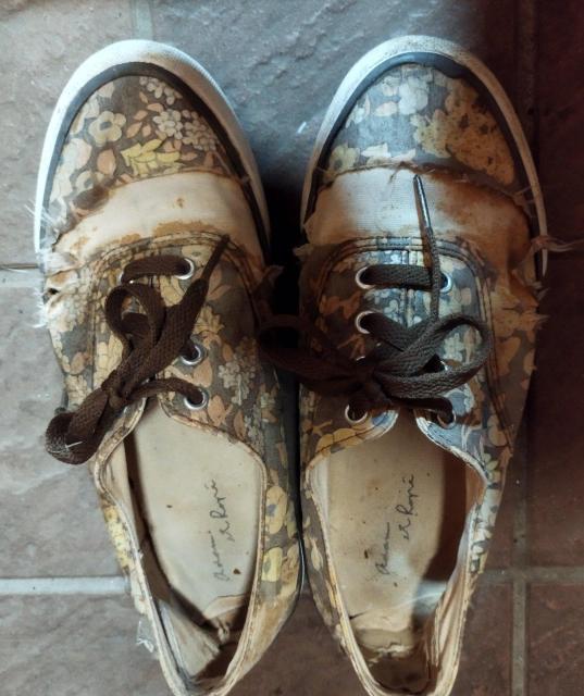 A_G Be[WVNgp ԕ [JbgXj[J[ _[W   t@bV 