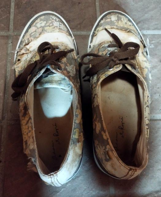 A_G Be[WVNgp ԕ [JbgXj[J[ _[W  t@bV 