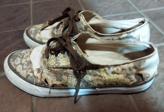 A_G Be[WVNgp ԕ [JbgXj[J[ _[W  t@bV 