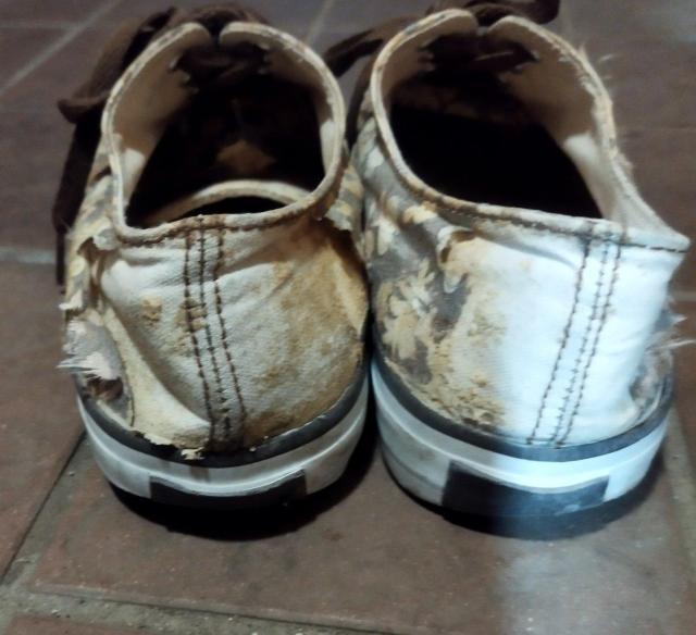 A_G Be[WVNgp ԕ [JbgXj[J[ _[W  t@bV 