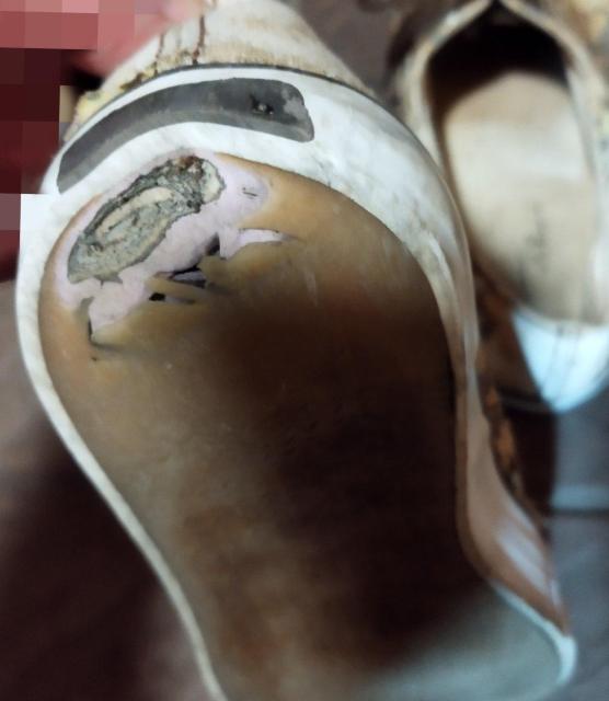 A_G Be[WVNgp ԕ [JbgXj[J[ _[W  t@bV 