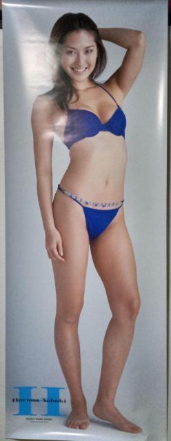 tށ@g|X^[   ^gObY 