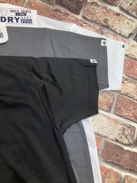 IyLOGOSzTTz ȍfށI^ꂵɂIYulbNA_[EFA(摜)P  jt@bV 