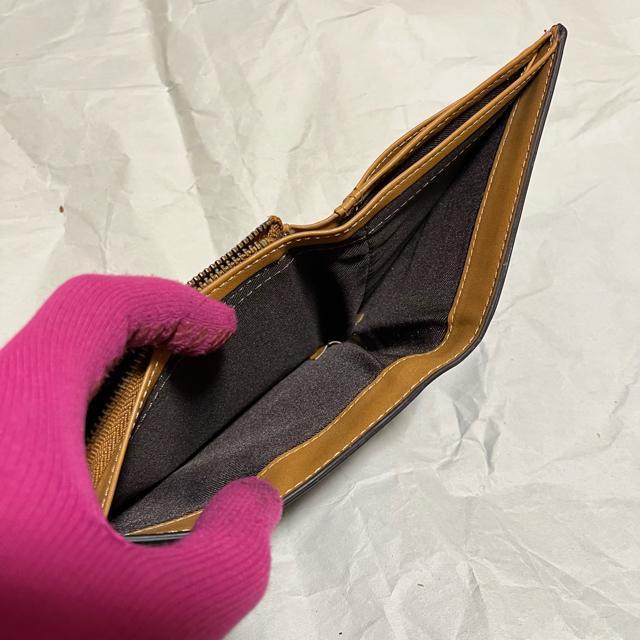 yGLEVIO / OBIz {v / ܂z iKꂠj  jt@bV 