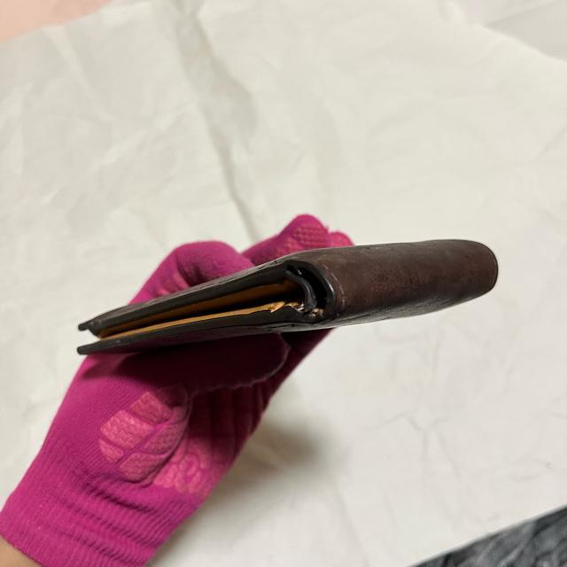 yGLEVIO / OBIz {v / ܂z iKꂠj  jt@bV 