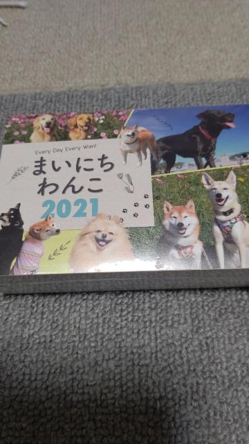 ☆まいにち わんこ2021 < ブランド ☆まいにち わんこ2021 < ブランドの