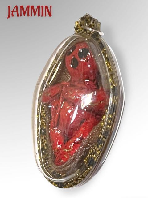 �N�}���g�[���@�v���N���A���@�������@�����@����@���^�@�J�^ �� �z�r�[�� 