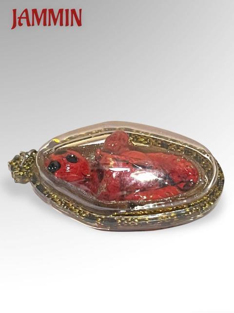 �N�}���g�[���@�v���N���A���@�������@�����@����@���^�@�J�^ �� �z�r�[�� 