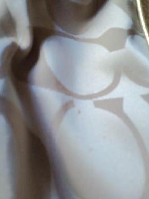 コーチポピーラージスポットライト < ブランド コーチポピーラージスポットライト < ブランドの