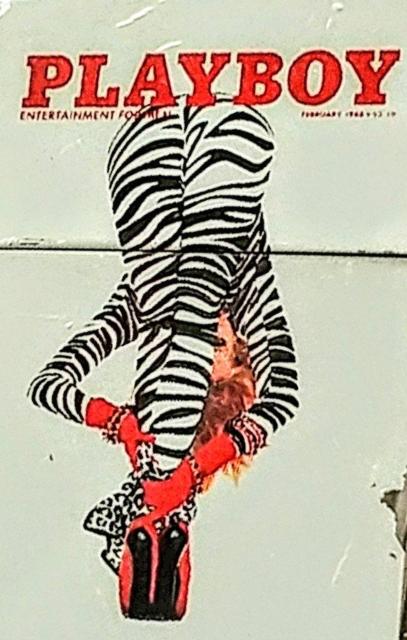 ZIPPO@PLAYBOY@Wb|C^[  jt@bV 