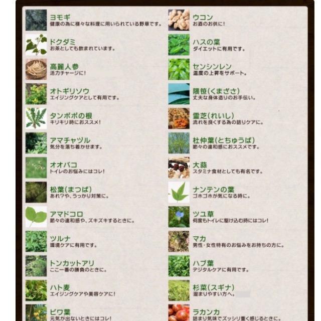 野草酵素 野菜酵素 サプリメント やさい酵素 美容 ダイエット ビタミン 健康食品約3ヵ月分×4袋 1年分 < グルメ/ドリンク  野草酵素 野菜酵素 サプリメント やさい酵素 美容 ダイエット ビタミン 健康食品約3ヵ月分×4袋 1年分 < グルメ/ドリンクの