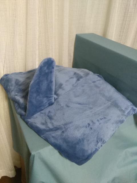 ����V���[�N�@�l�C�r�[ �� �z�r�[�� 