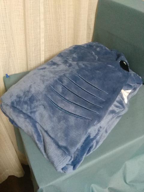 ����V���[�N�@�l�C�r�[ �� �z�r�[�� 