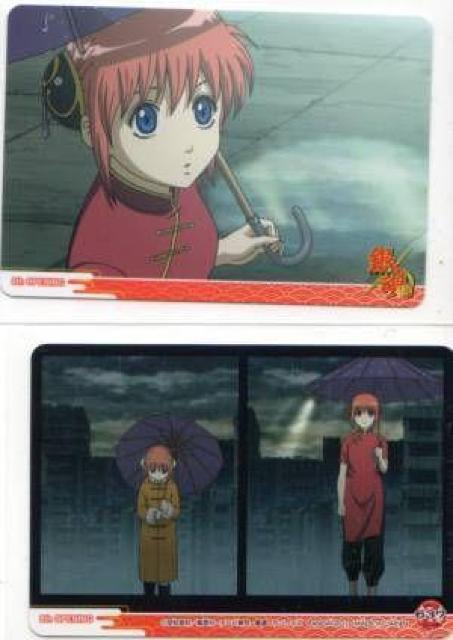 �⍰A���g���J�@OP�J�[�h�@Z-637�@8th OPENIING 