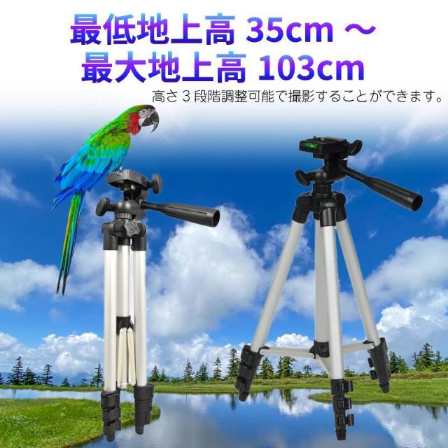 * Or X^h ჌t ^ y [\ P[Xt ~j  Ɠd/AV 