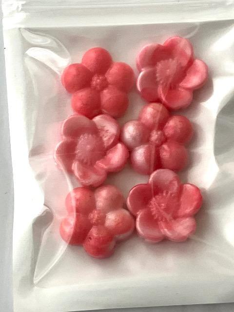 IWiV[ObNX@V[OX^v@|Cg 