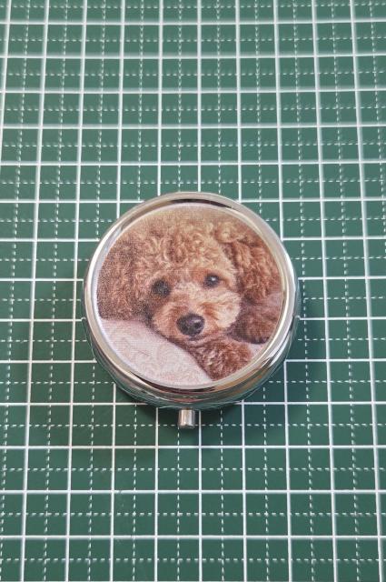 トイプードルちゃんピルケース☆  トイプードルグッズ   プードル   犬グッズ   かわいい薬入れ  アクセサリー入れ  < 女性ファッション  トイプードルちゃんピルケース☆  トイプードルグッズ   プードル   犬グッズ   かわいい薬入れ  アクセサリー入れ  < 女性ファッションの