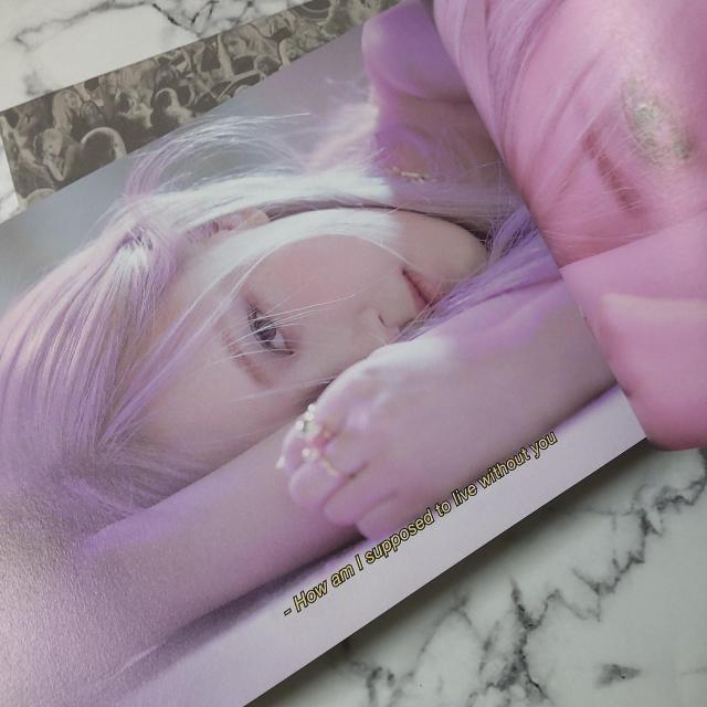 -R-:ROSE (BLACKPINK)★【封入特典】98Pフォトブック1冊 < タレントグッズ  -R-:ROSE (BLACKPINK)★【封入特典】98Pフォトブック1冊 < タレントグッズの