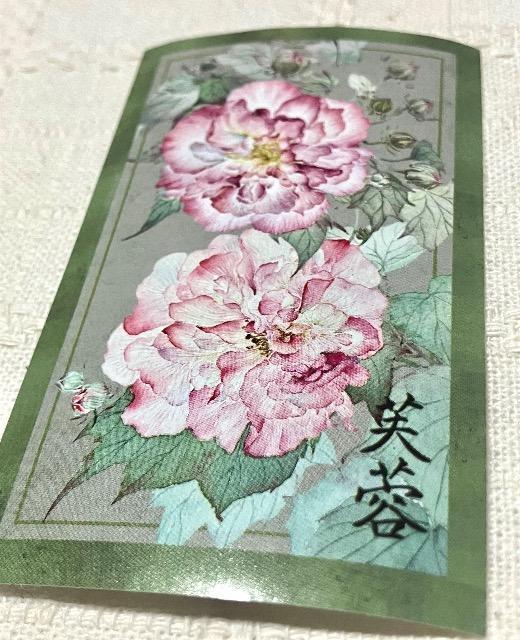 �V�[��1��  �� �C���e���A/���C�t�� 