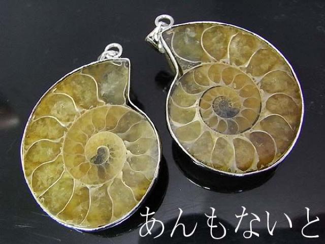 アンモナイトペンダント・トップ【新品】 < 女性アクセサリー/時計 アンモナイトペンダント・トップ【新品】 < 女性アクセサリー/時計の
