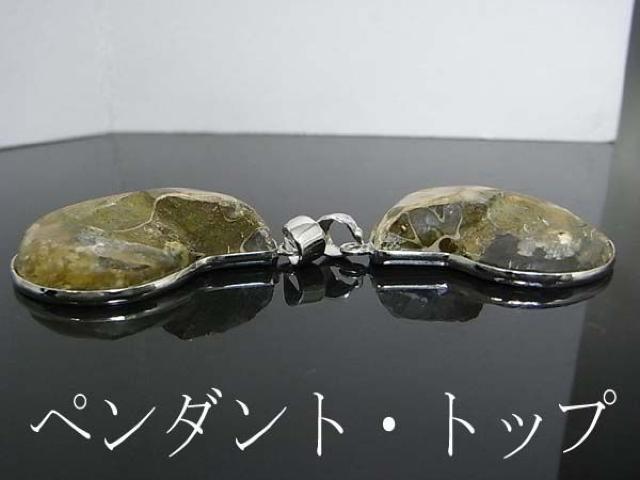 アンモナイトペンダント・トップ【新品】 < 女性アクセサリー/時計 アンモナイトペンダント・トップ【新品】 < 女性アクセサリー/時計の