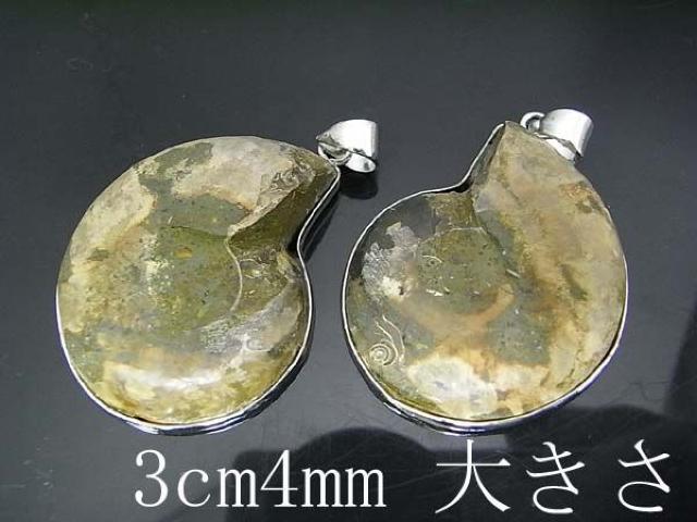 アンモナイトペンダント・トップ【新品】 < 女性アクセサリー/時計 アンモナイトペンダント・トップ【新品】 < 女性アクセサリー/時計の