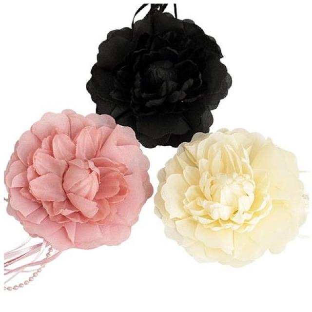 �r�[�Y�����{���t�����W ����t�����[ �R�T�[�W�� �s���N���V�i  �� �����A�N�Z�T���[/���v�� 