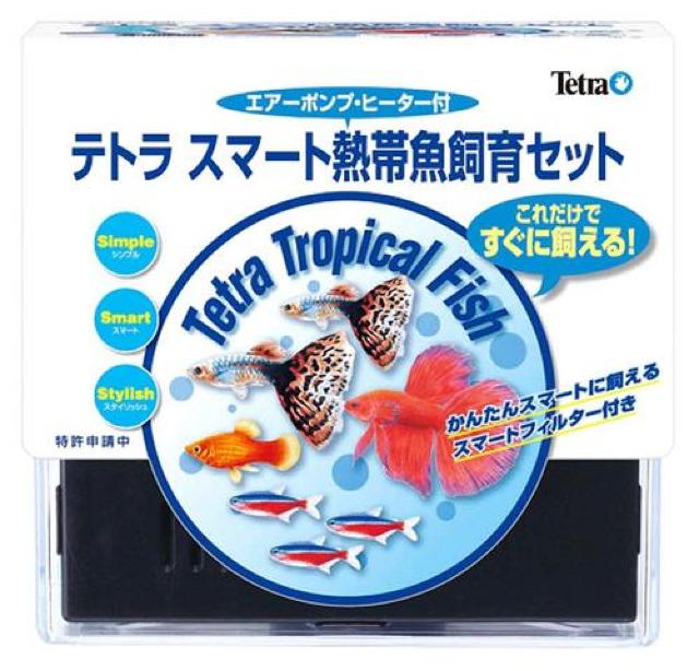 Tetra X}[gMыZbgSP-17TF  ybg/|/| 